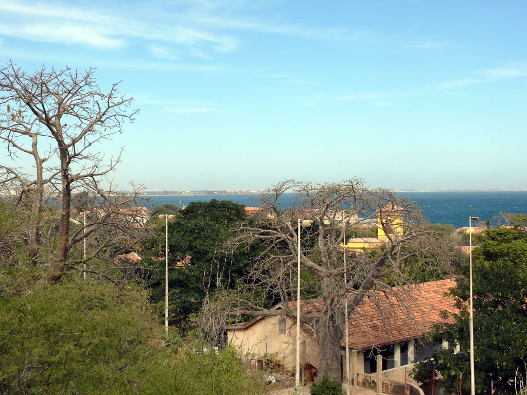 goree_06.jpg